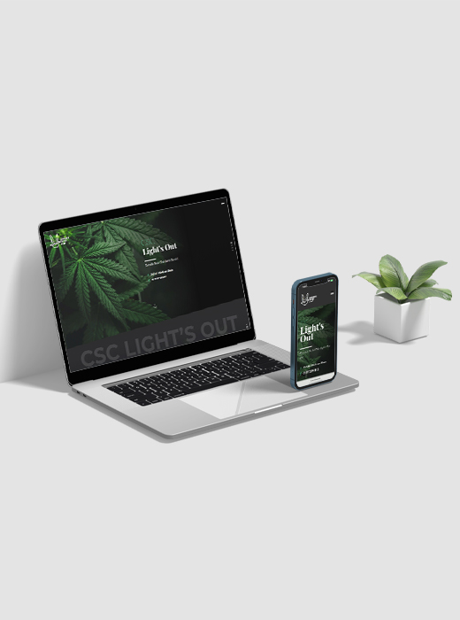 Portfolio Image