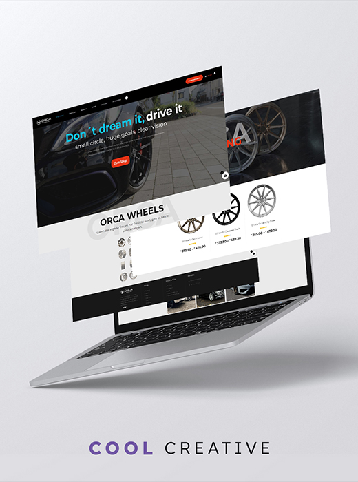 Portfolio Image